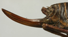 CollectionObject 1536025; bcfb1c24-c2a8-4b76-8054-f8ef38de2f95: female ovipositor (syntype). (CollectionObject).