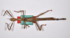 CollectionObject 1559876; 844cc4b3-630b-46e6-a05d-719e20513909: copyright ZMHB, Berlin. male, dorsal view of Cyphocrania acanthomera (holotype). (CollectionObject).
