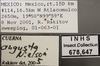 Other on Cuerna angusta Nielson, 1965: Labels. (Observation).