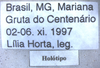 CollectionObject 1527846; 4a10535b-bff4-48e6-94c8-dc4341dfea08: label (holotype). (CollectionObject).