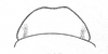 Ceuthophilus (Ceuthophilus) tenebrarum Scudder, 1894: Fig. 823. (female) subgenital plate. (Otu).