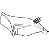 Pygofer, lateral view on Bonaspeia longiacta Davies, 1987: Pygofer, lateral view (holotype). (Observation).
