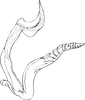 Aedeagus, lateral view on Empoascanara (Empoascanara) serrata (Sawai Singh, 1969): Aedeagus, lateral view. (Observation).