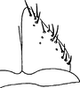 Subgenital plate, ventral view on Bonaspeia rosea (Naudé, 1926): Subgenital plate. (Observation).