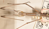 CollectionObject 1557525; 3849c919-e169-4cf8-8a7a-5312aae1f226: copyright OUMNH. female: head & thorax, dorsal view of synonym Burria farinosa (holotype). (CollectionObject).