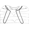 Abdomen, sternal apodemes, ventral view Depicts Abdomen, sternal apodemes, ventral view, an Observation.