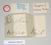 CollectionObject 1557415; 763340e1-94e5-46cf-925e-ed807ebb70d3, NHMUK(SF IMPORT DUPLICATE) 844927: copyright Natural History Museum, London. female, data labels [reversed where applicable] (holotype). (CollectionObject).