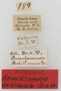 CollectionObject 1533003; 2fbc1ca1-4050-4110-960b-39a9b672d91a: labels. (CollectionObject).