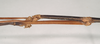 CollectionObject 1558588; b20d032c-9c70-4c15-96d5-4319c2aa3647: copyright Natural History Museum, London. male: head and part of thorax, lateral view (holotype). (CollectionObject).