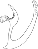 Aedeagus, lateral view: Aedeagus, lateral view. (Observation).