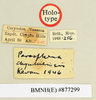 CollectionObject 1518460; 39bfeb95-e549-4e02-b460-f2c0c50ff547: labels (holotype). (CollectionObject).