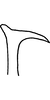 Stylus on Anufrievia forcipiformis Yang & Zhang, 2018: Stylus. (Observation).