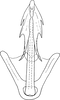 Aedeagus, ventral view: !! display not done !! on Cnemidanomia lugubris (Lethierry, 1876): Aedeagus, ventral view. (Observation).