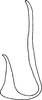Aedeagus, lateral view on Capoideus cuprescens (Naudé, 1926): Aedeagus, lateral view. (Observation).