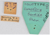 CollectionObject 1613744; f7d72b93-6d98-4675-8574-fac8cfde3e79: (CollectionObject).