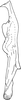 Stylus on Empoascanara (Empoascanara) mana Dworakowska & Pawar, 1974: Stylus. (Observation).