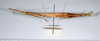 CollectionObject 1581293; 1a11edb2-714a-4fd7-9496-cb81bb855e5e: copyright ANSP. female, lateral view (paratype). (CollectionObject).;CollectionObject 1581294; f2acaebc-8a19-4437-8ef4-92d5a5730f9d: copyright ANSP. female, lateral view (paratype). (CollectionObject).