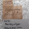 CollectionObject 1506625; 3dc77cba-6281-4a13-a197-47db4c1c7fc7: labels. (CollectionObject).