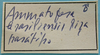 CollectionObject 1597004; daa796c9-4dcf-47c9-9de6-dfc2a9db74b5: label (paratype of Hammatofera brasiliensis). (CollectionObject).