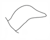 Brownacris karruensis Brown, 1972: Fig. 30. male left cercus, showing variation. (Otu).