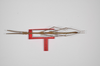 CollectionObject 1562901; 46fbdf44-650a-46c9-a2fa-eba69a462515: copyright ZSMC, Munich. male, dorsal view (holotype). (CollectionObject).