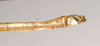 CollectionObject 1557515; 9dad141f-cbd9-4264-bbec-c99cd2c03221: copyright Natural History Museum, London. female: end of abdomen, ventral view (syntype). (CollectionObject).