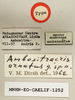 CollectionObject 1540596; 6b57ac77-96ac-4da7-bb79-1425a3f6e91b: labels (holotype). (CollectionObject).
