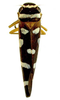 Habitus, dorsal view on Amblyscartidia albofasciata (Walker, 1851): Specimen from Parque Nacional do Itatiaia, Southeastern Brazil, by C. M. F. Silva 2014. (Observation).