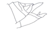 Sclerophilacris corticola Descamps, 1976: Fig. 59. female abdomen tip, lateral view. (Otu).