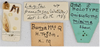 CollectionObject 1618747; e20b307a-278b-49a3-aff5-08650f73c5ca: (CollectionObject).
