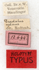 CollectionObject 1531619; 70c805c3-c538-4a40-a5b2-8d868460b167: labels (holotype). (CollectionObject).