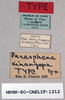 CollectionObject 1540703; 7fc563be-668b-400f-acdf-9ec4a5763663: labels (holotype). (CollectionObject).