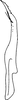 Stylus: !! display not done !! on Empoasca (Empoasca) fabae (Harris, 1841): Stylus. (Observation).