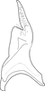 Stylus: Stylus. (Observation).