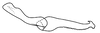 Stylus on Coarctana rana (DeLong & Wolda, 1982): Male [DZUP]: style, lateral view. (Observation).