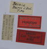 CollectionObject 1535443; 1fe692d6-5ad8-4663-85b0-a5351a8297ce: labels (holotype). (CollectionObject).