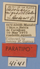 CollectionObject 1513558; d6db254a-5013-48f6-95f0-e8941a1475cc, MLP4141: labels (paratype). (CollectionObject).