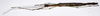 CollectionObject 1584634; 1030b41e-c778-4180-8d2d-08f737491e36: (CollectionObject).