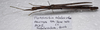 CollectionObject 1584629; ddae3ad4-79ef-43cb-a562-8c3a1e085ace: (CollectionObject).