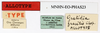 CollectionObject 1557973; b2ddb0c7-fa5f-4f7b-b47f-275d9d85df88: copyright MNHN, Paris. female, data labels (paratype). (CollectionObject).