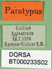 CollectionObject 1502056; dcecde58-0e31-41bc-830f-c3ba4fa14c31: labels (paratype). (CollectionObject).