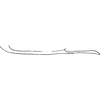 Pygofer appendages: Pygofer ventral appendage. (Observation).
