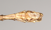 Dinophasma kinabaluense Bragg, 2001: copyright Natural History Museum, London. male: end of abdomen, ventral view (paratype). (Otu).
