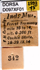 CollectionObject 1505095; c142c93e-02e3-4f9f-9844-6c11d650d23c, DORSA D097XF01: labels. (CollectionObject).