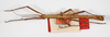 CollectionObject 1562383; bb24c673-e74e-40ee-93c7-fcfeacd4cacc: copyright ZMB, Berlin. male (syntype). (CollectionObject).;CollectionObject 1562384; d3ae3f62-92cf-49f3-89af-34838899ffec: copyright ZMB, Berlin. male (syntype). (CollectionObject).