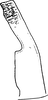 Stylus on Elymana pallidipennis (Lindberg, 1929): Stylus. (Observation).