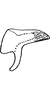Pygofer appendages on Empoascanara (Empoascanara) hongkongica Dworakowska, 1971: Pygofer dorsal appendage. (Observation).