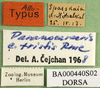 CollectionObject 1502608; d375a82f-7ff3-4527-9a8c-064f4323f997, DORSA BA000440S02: labels (allotype of Nocaracris cyanipes tristis). (CollectionObject).