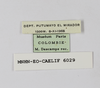 CollectionObject 1588732; f004aa3b-7866-403e-9d70-bc3c0dbdb397: labels. (CollectionObject).
