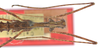 CollectionObject 1560670; 3231ea0c-df4e-4a75-9c50-fa7c6e035f29: copyright ZMB, Berlin. male : head and thorax, dorsal view (holotype). (CollectionObject).